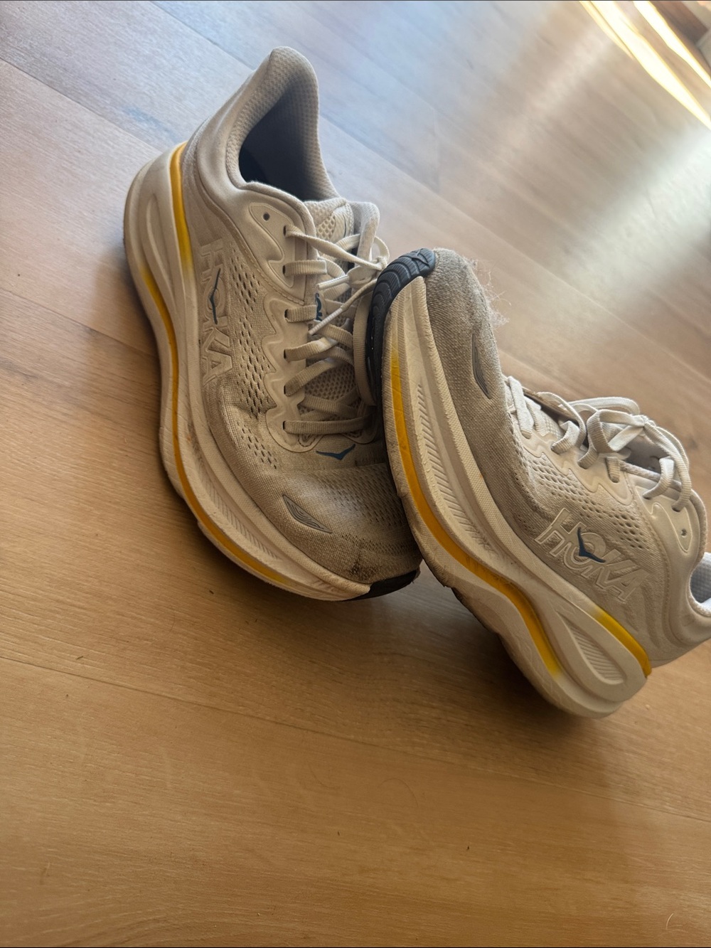 Bondi 9s